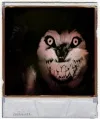 Smiledog re 2